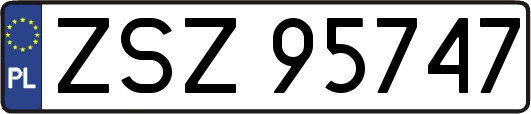 ZSZ95747