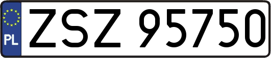 ZSZ95750