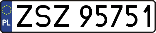 ZSZ95751