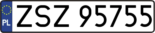 ZSZ95755