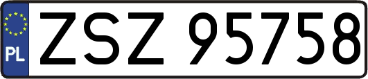 ZSZ95758