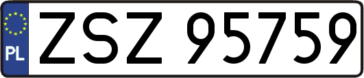 ZSZ95759