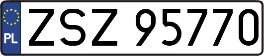 ZSZ95770