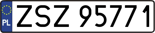 ZSZ95771