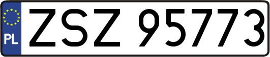 ZSZ95773