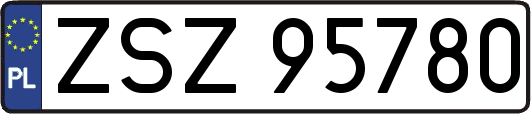 ZSZ95780