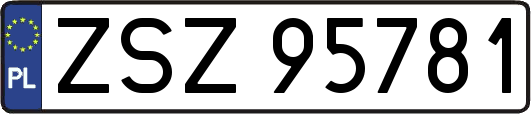 ZSZ95781