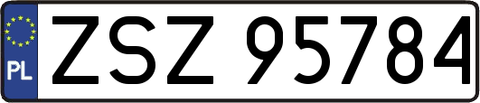 ZSZ95784