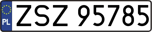 ZSZ95785