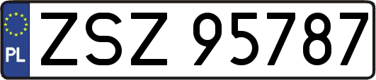 ZSZ95787