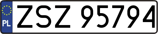 ZSZ95794
