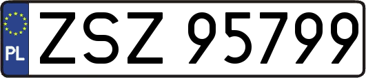ZSZ95799