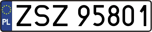 ZSZ95801