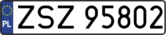 ZSZ95802