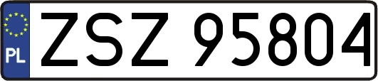 ZSZ95804