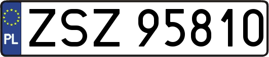 ZSZ95810