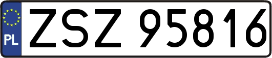 ZSZ95816