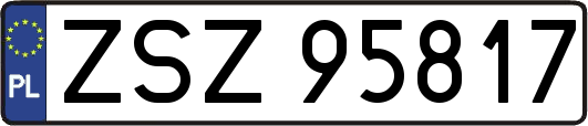 ZSZ95817