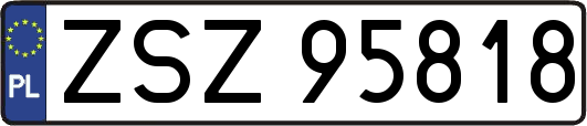 ZSZ95818