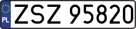ZSZ95820
