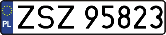 ZSZ95823