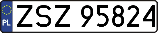 ZSZ95824