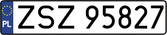 ZSZ95827