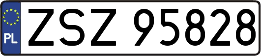 ZSZ95828