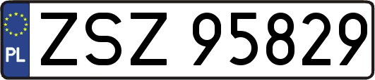 ZSZ95829
