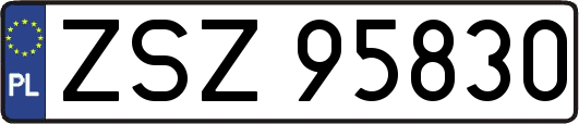 ZSZ95830