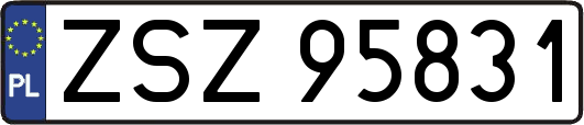 ZSZ95831