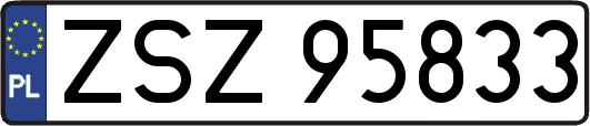 ZSZ95833