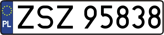 ZSZ95838