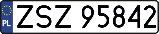 ZSZ95842