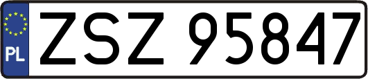ZSZ95847