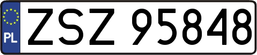 ZSZ95848