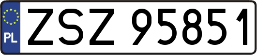 ZSZ95851