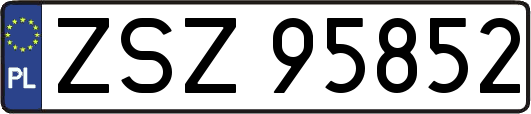 ZSZ95852