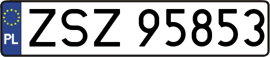ZSZ95853
