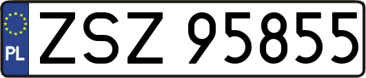 ZSZ95855