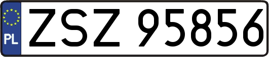 ZSZ95856