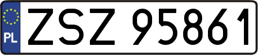 ZSZ95861