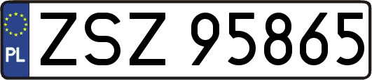 ZSZ95865