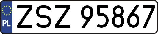ZSZ95867