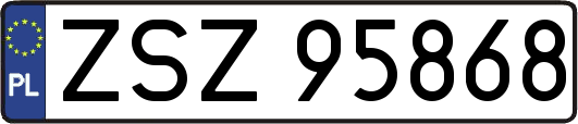 ZSZ95868