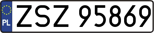 ZSZ95869