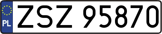 ZSZ95870