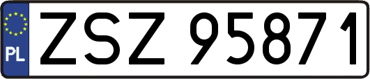 ZSZ95871