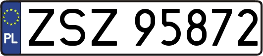 ZSZ95872
