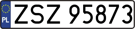 ZSZ95873